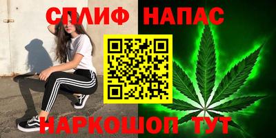 прущие грибы Туймазы