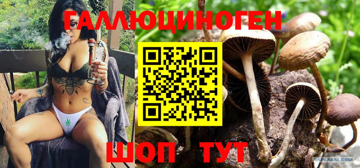 Псилоцибиновые грибы GOLDEN TEACHER  Вход с VPN  Белебей 